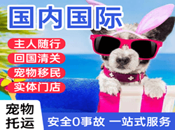 珠海航空邮寄国际宠物托运 【国